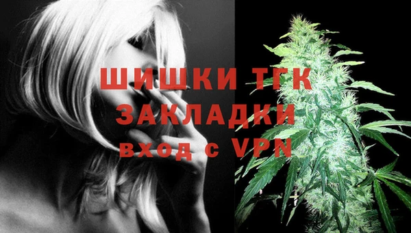СК Аркадак